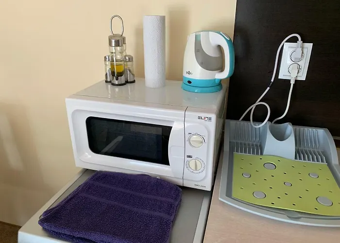 Spa大楼带露台公寓 布尔加斯